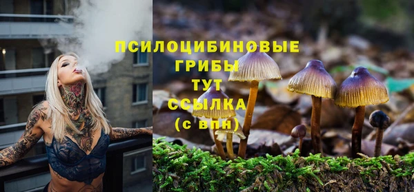 ECSTASY Лиски