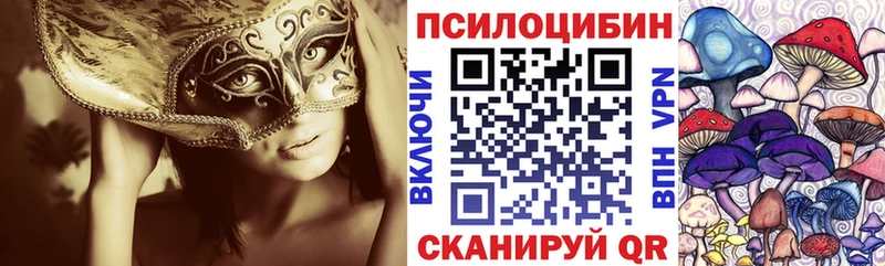 Галлюциногенные грибы Psilocybine cubensis  где найти наркотики  Южа 